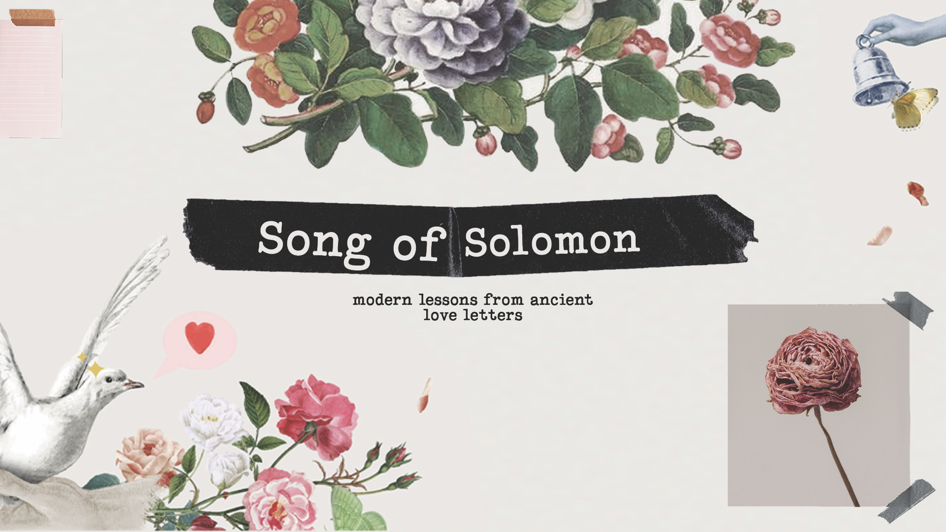 Song of Solomon