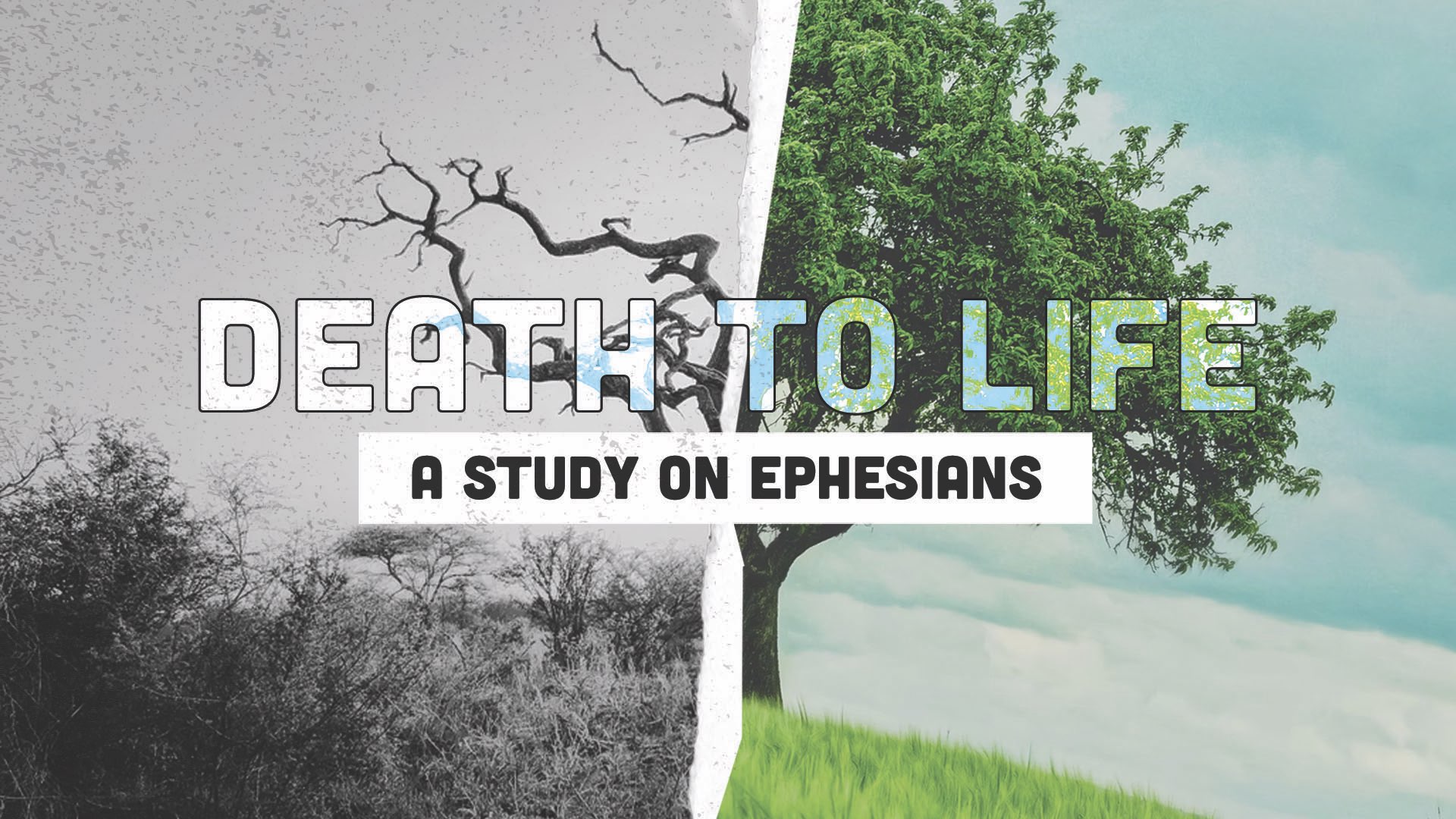 Ephesians